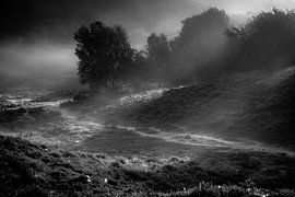 Veluwezoom black and white by Martijn van Steenbergen