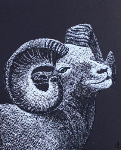 Widder II von Atelier Paint-Ing