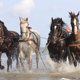 P{aardenreddingsboot Ameland by Rinnie Wijnstra (FotoAmeland )