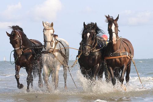 P{aardenreddingsboot Ameland by Rinnie Wijnstra (FotoAmeland )