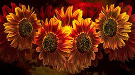 Four Suns Inner Fire II sur Saranda Foto Art