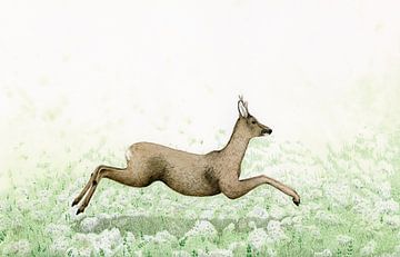 Ode to the roe deer