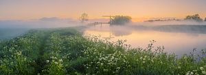 Panorama-Sonnenaufgang am Schildjer Tilbat, De Paauwen, Groningen