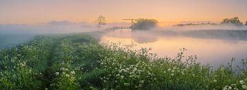 Panorama zonsopkomst bij Schildjer Tilbat, De Paauwen, Groningen van Henk Meijer Photography