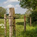 De Molen op de Vrouwenheide van John Kreukniet thumbnail