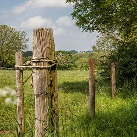 De Molen op de Vrouwenheide von John Kreukniet