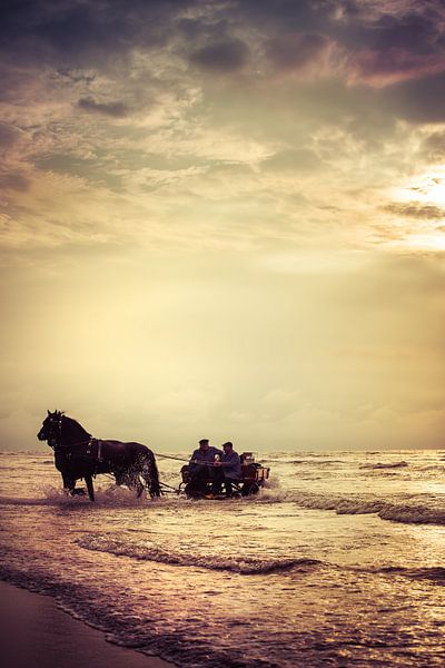 Met de paardenkar door de golven by Evert Jan Kip