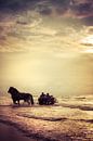 Met de paardenkar door de golven by Evert Jan Kip thumbnail