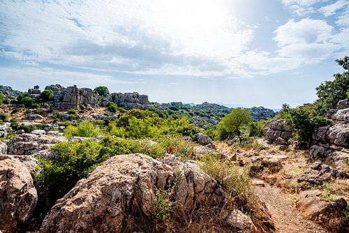 Bizarre rotsformaties in El Torcal van Joke Van Eeghem