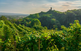 Prosecco-Hügel, Kirche San Lorenzo, Weinberge von Farra di Soligo