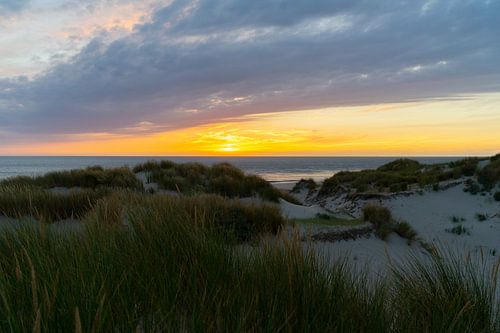 Seeländische Dünen