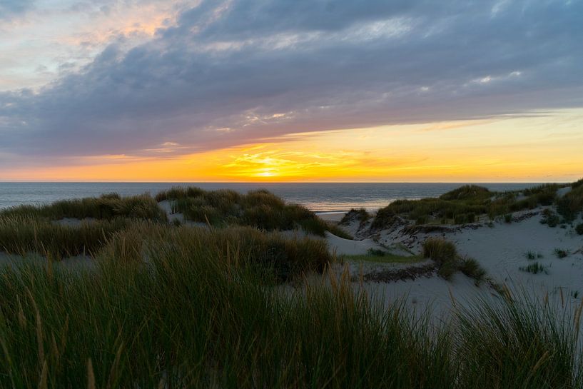 Dunes de Zélande par Gaby Jonker
