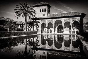 Granada - Alhambra / Torre de las Damas
