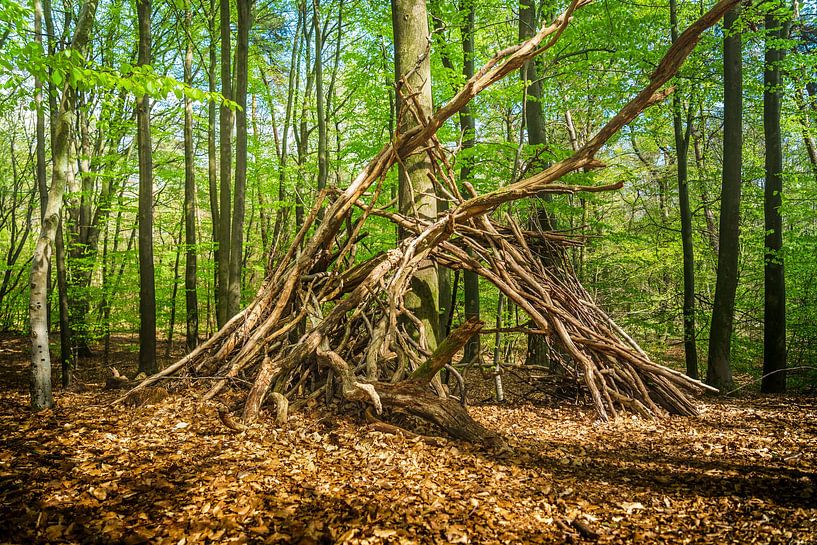 Zweigstelle [Frühling] von rosstek ®