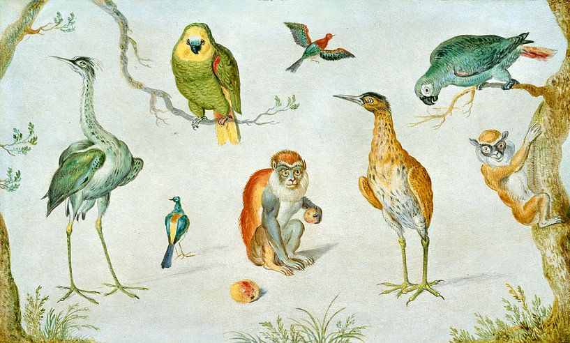 Studie von Vögeln und Affen, Kreis von Jan van Kessel von Liszt Collection