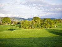 Limburgs landschap belicht door een sterke avondzon