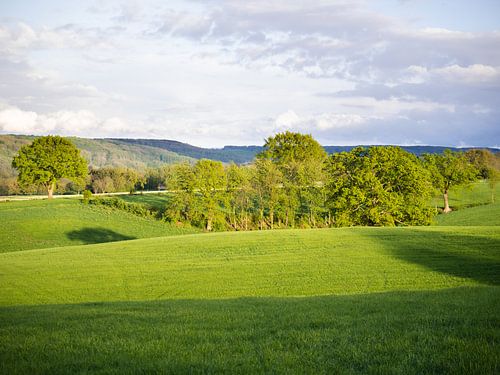 Limburgs landschap belicht door een sterke avondzon van Max van Gils