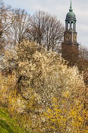 Spring at St Michael's Church by Marc Heiligenstein
