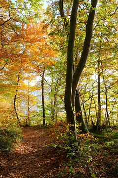 Herfst van Ostsee Bilder