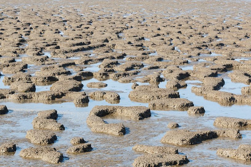 Het Wad von Anneke Wapstra