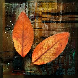 Leaf peeping by Saskia Schotanus