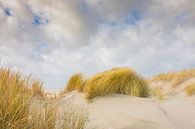 Strand en duinen van Schiermonnikoog van Margreet Frowijn thumbnail