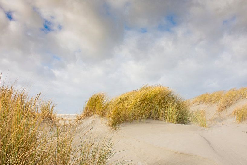 Strand en duinen van Schiermonnikoog van Margreet Frowijn