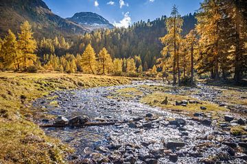 Herfstbos en bergbeek boven de Duisitzkarsee van Christian Müringer