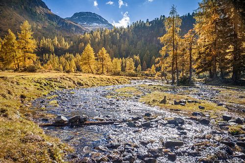 Autumn forest and mountain stream above the Duisitzkarsee lake