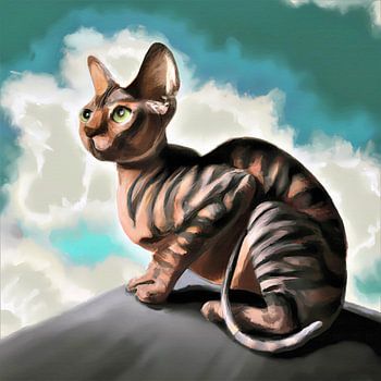 Sphynx-Katze starrt auf einem Felsen in die Ferne