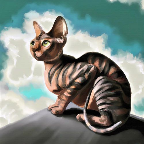 Sphynx-Katze starrt auf einem Felsen in die Ferne