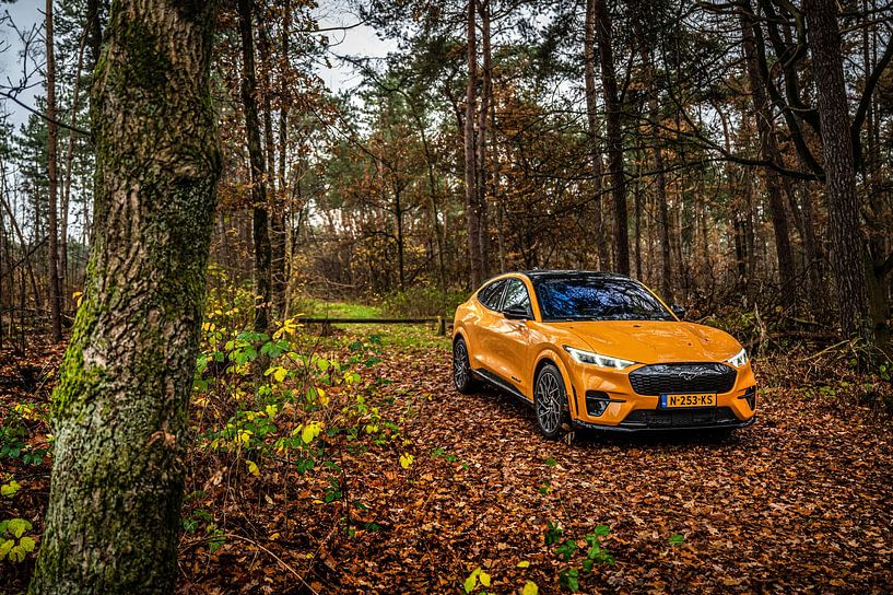 Ford Mustang Mach-E GT by Bas Fransen