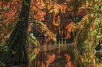 Herfst schilderij