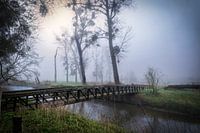 misty morning