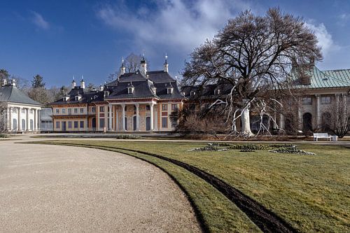 Schlossgarten Pillnitz Dresden