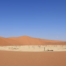 Panorama Sossusvlei, Namibië van Denise Wit