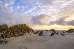 Terschelling und die schöne Natur von De Boschplaat