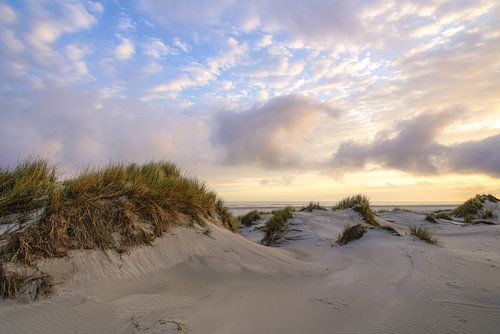 Terschelling en de prachtige natuur van De Boschplaat