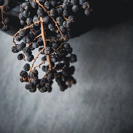 Zweig mit getrockneten Beeren von Melanie Schat