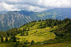 Blick von der Alpe Schlappold auf den Allgäuer Hauptkamm