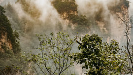 Misty Peaks of Zhangjiajie