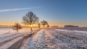 Paysage d'hiver au lever du soleil sur Lynxs Photography