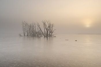Een koude, mistige zonsopkomst