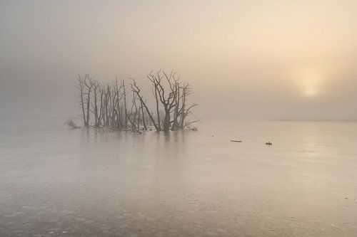 Ein kalter, nebliger Sonnenaufgang