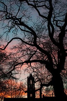 The Domtower at sunset