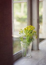 op de vensterbank by Sagolik Photography