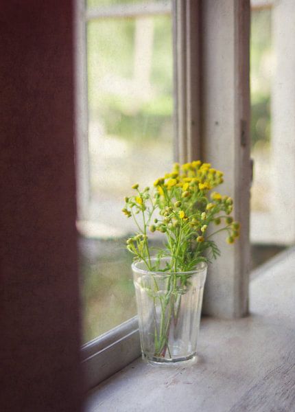 op de vensterbank par Sagolik Photography
