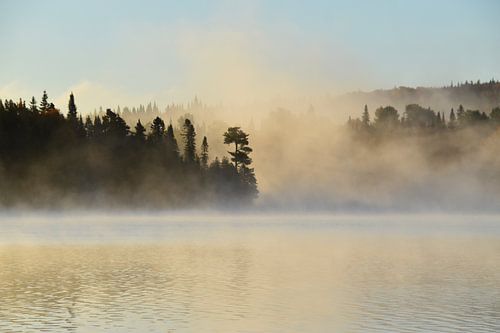 Een mist over het meer op een herfstige ochtend