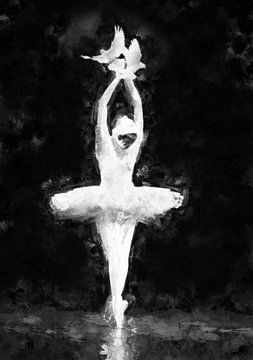 Ballet by Jacky