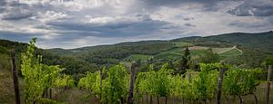 Chianti heuvels met wijngaard von Teun Ruijters